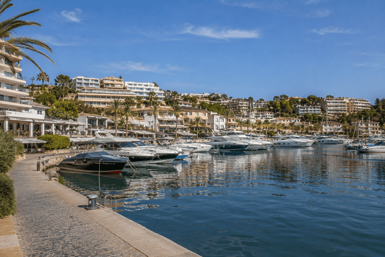 Portals Nous Mallorca Hafen